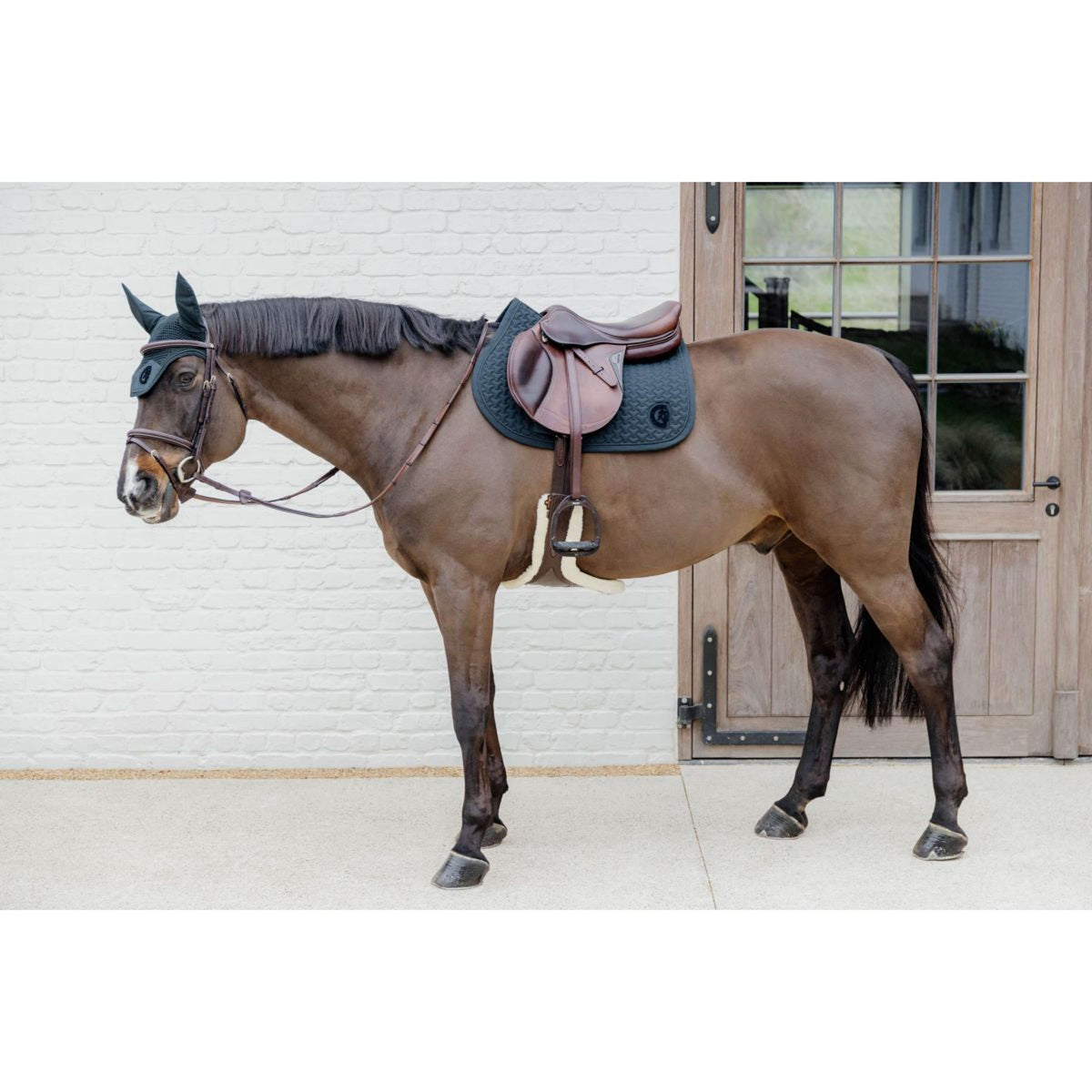 Kentucky Horsewear Sottosella Plaited Logo Springen Pine Green