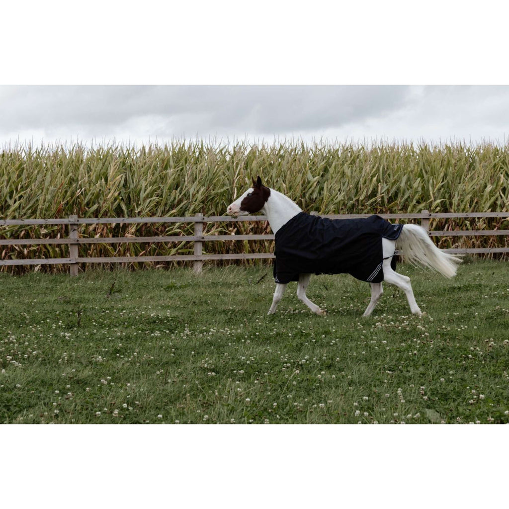 Kentucky Ritorno dell'affluenza alle urne All Weather Comfort Waterproof 100g Nero