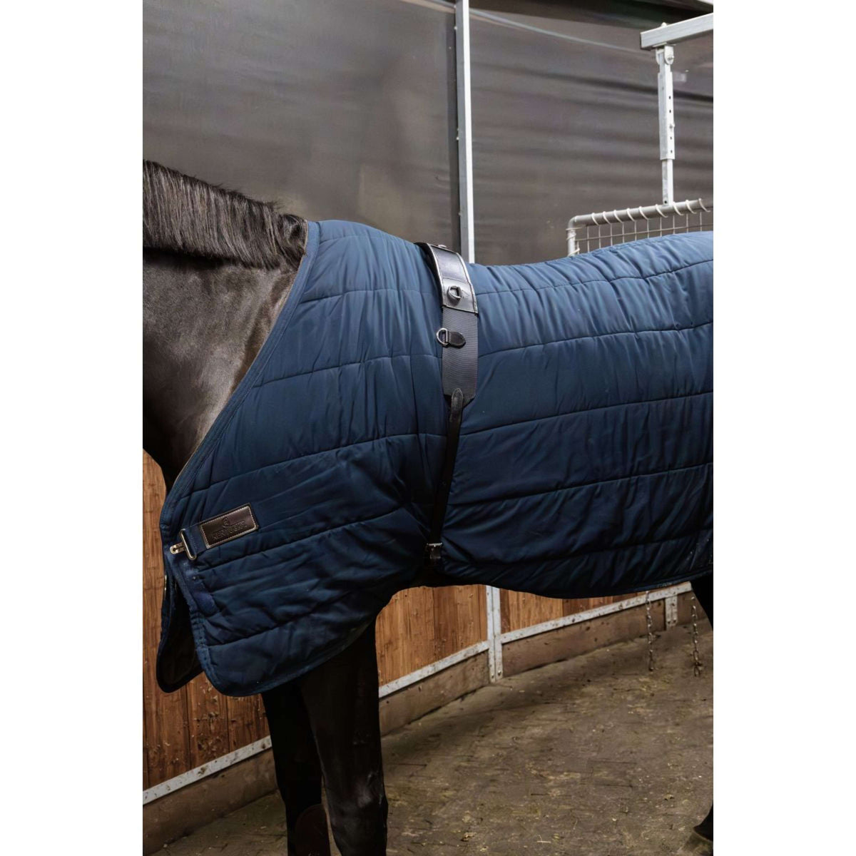 Kentucky Horsewear Fascia da Addestramento Nylon Nero