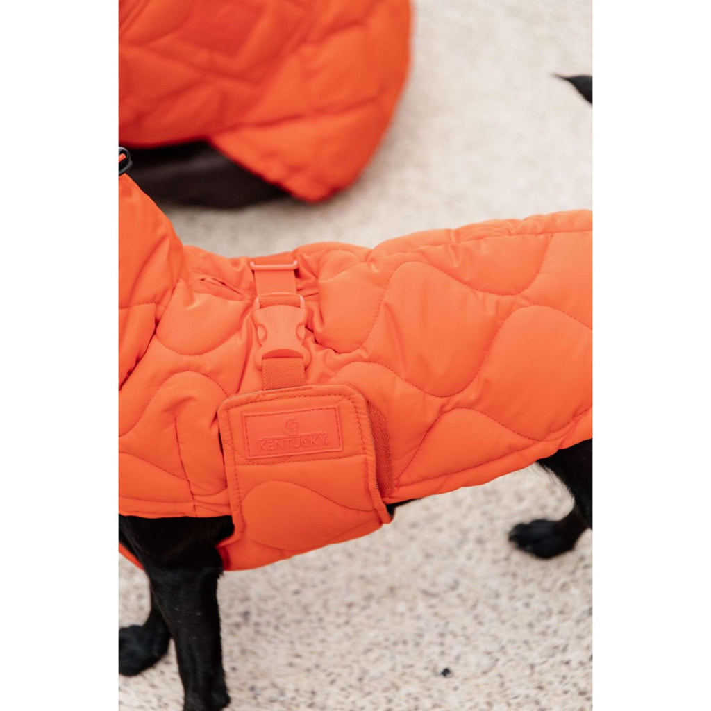 Kentucky Coperta per Cani Winter Pina Arancia