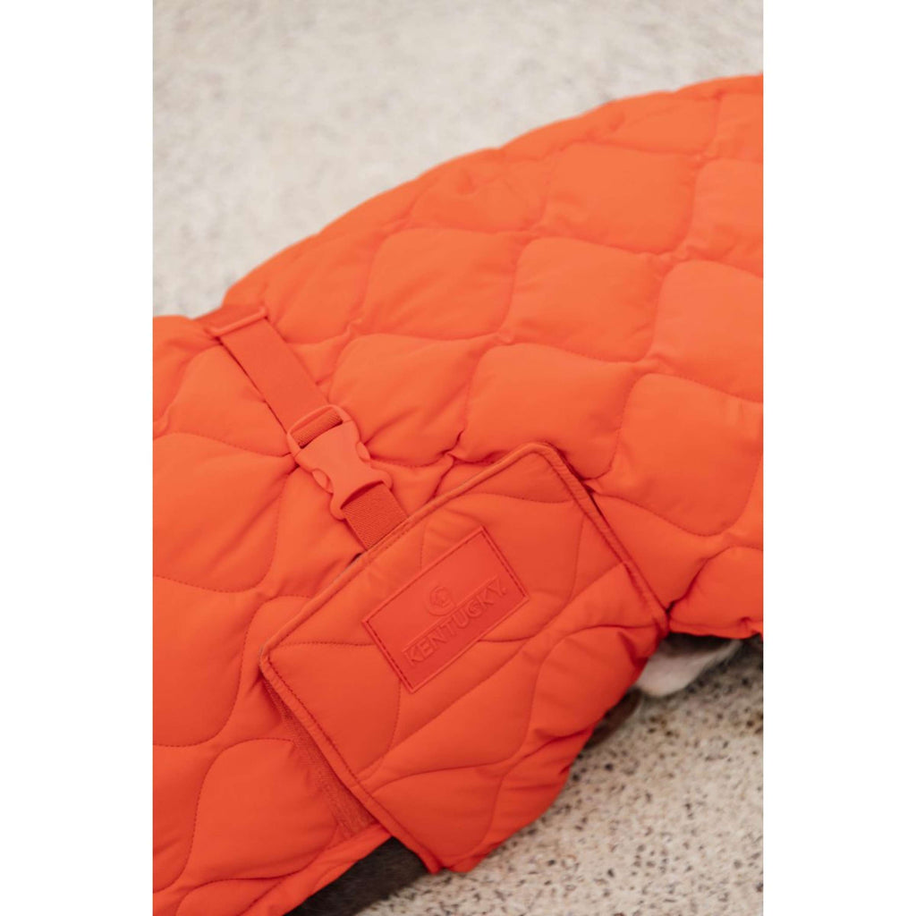 Kentucky Coperta per Cani Winter Pina Arancia