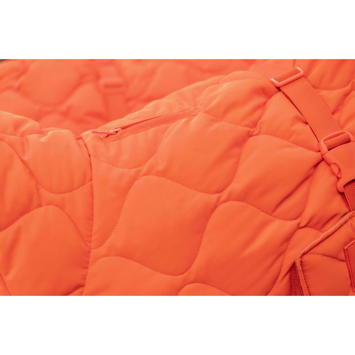 Kentucky Coperta per Cani Winter Pina Arancia