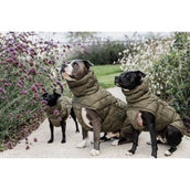 Kentucky Dogwear Coperta per Cani Winter Pina 160 g Pine Green