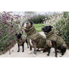 Kentucky Dogwear Coperta per Cani Winter Pina 160 g Pine Green