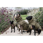 Kentucky Dogwear Coperta per Cani Winter Pina 160 g Pine Green