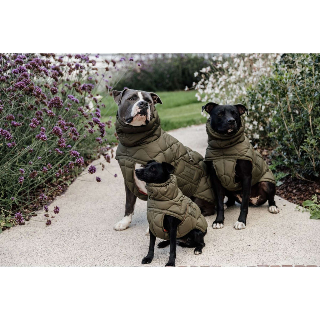 Kentucky Dogwear Coperta per Cani Winter Pina 160 g Pine Green
