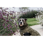 Kentucky Dogwear Coperta per Cani Winter Pina 160 g Pine Green