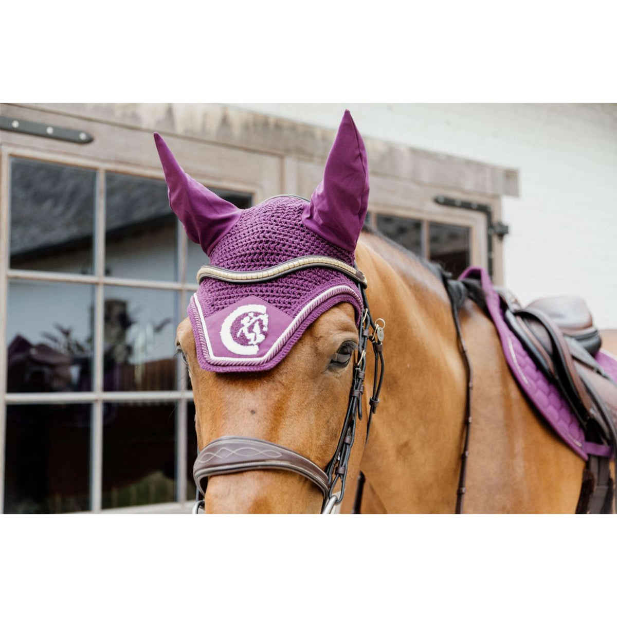 Kentucky Cuffietta Wellington Soundless 3D Logo Rope Viola