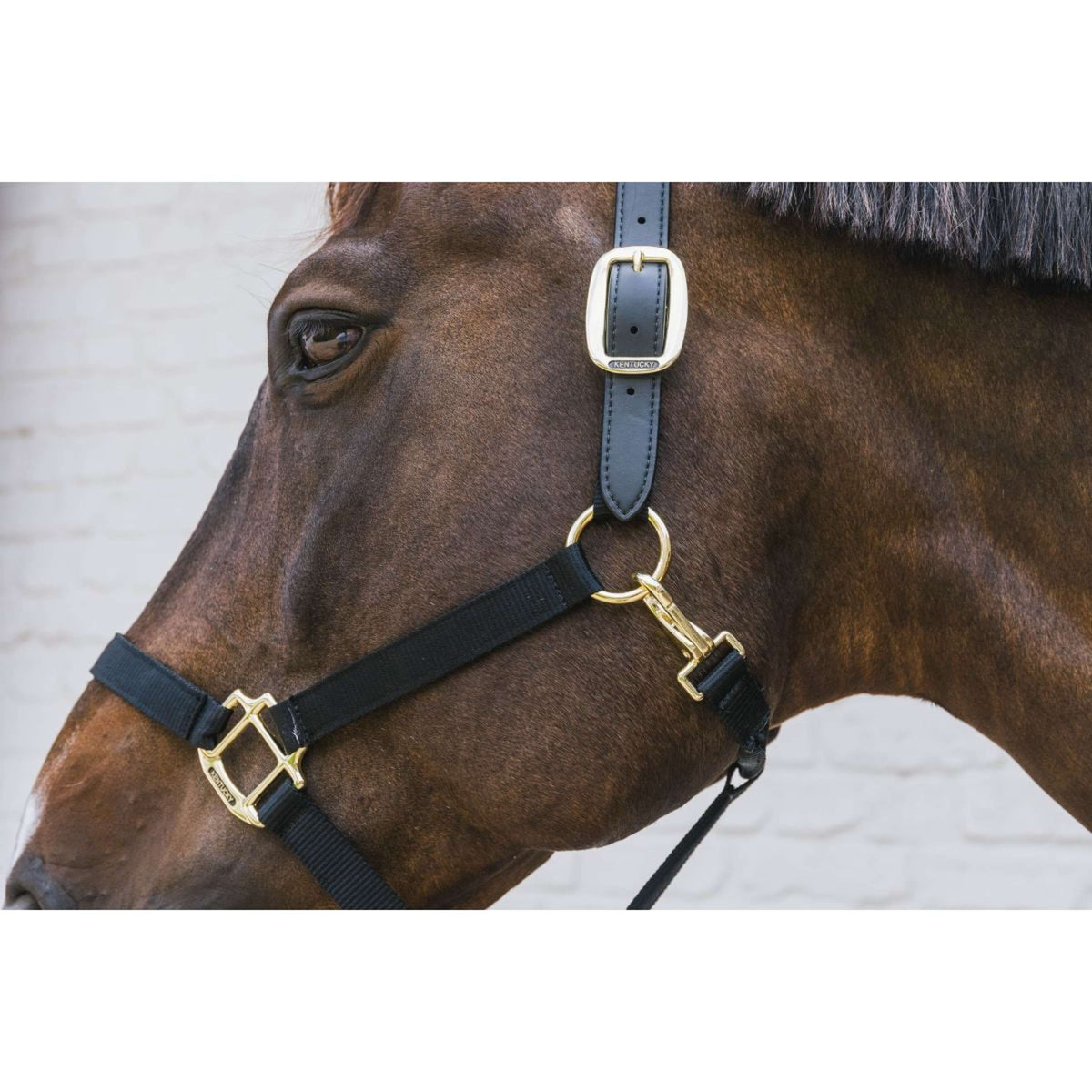 Kentucky Horsewear Capezzina Nylon Breakaway Nero