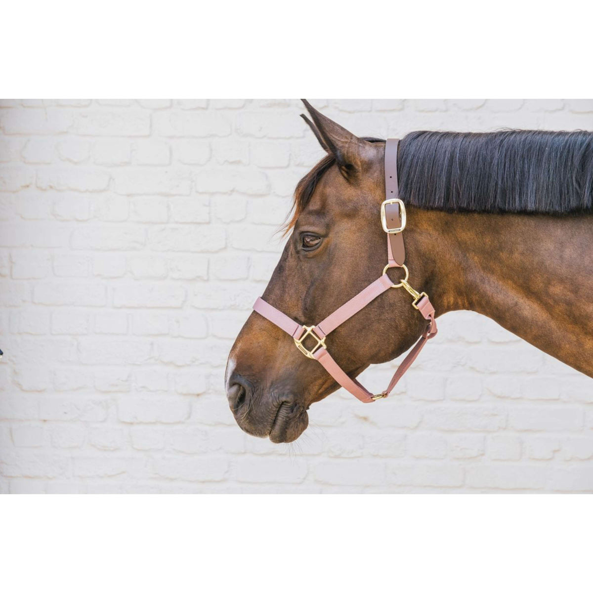 Kentucky Horsewear Capezzina Nylon Breakaway Rosa antico