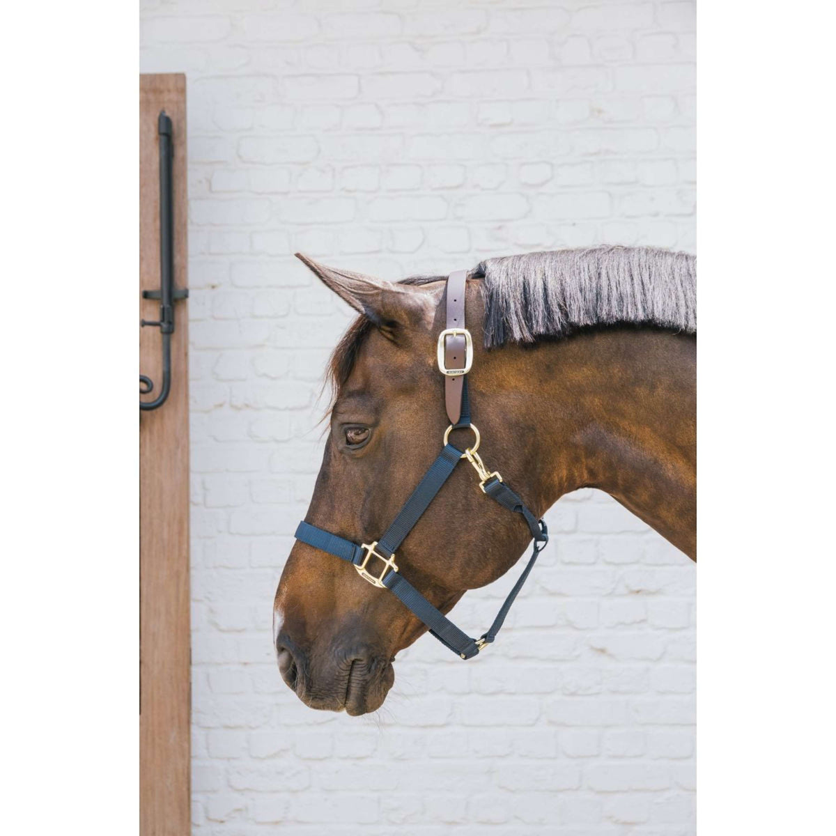 Kentucky Horsewear Capezzina Nylon Breakaway Navy