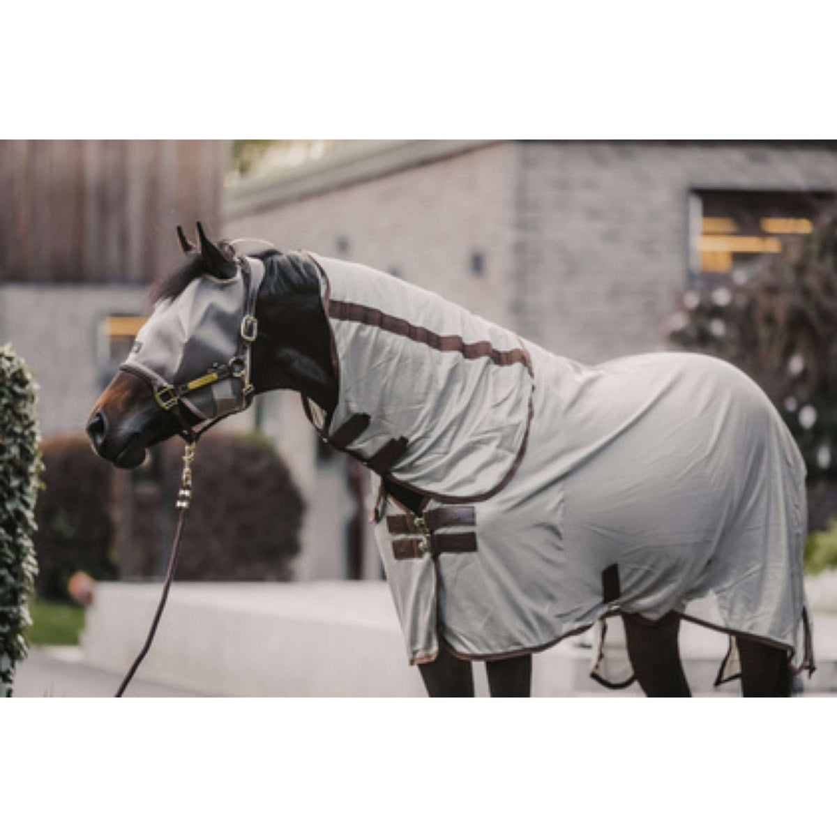 Kentucky Horsewear Maschera per Mosche Classic Beige