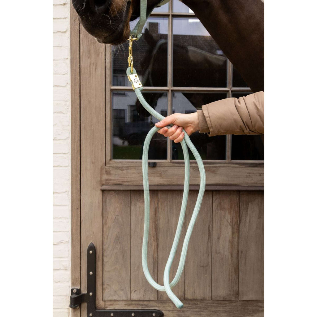 Kentucky Corda per cavezza Basic Mint