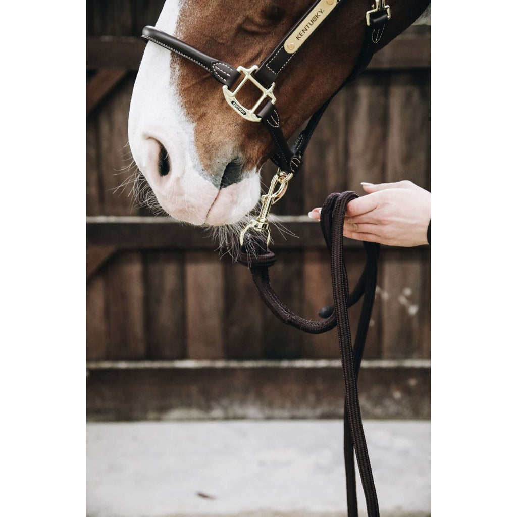 Kentucky Horsewear Corda per cavezza Loop Marrone