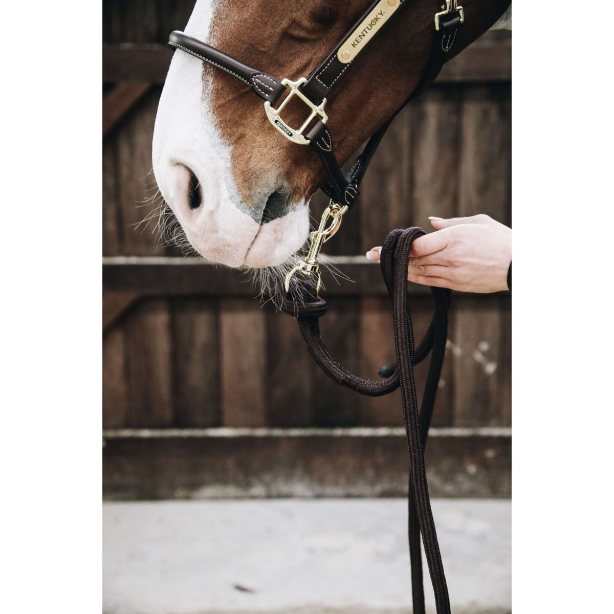 Kentucky Horsewear Corda per cavezza Loop Marrone