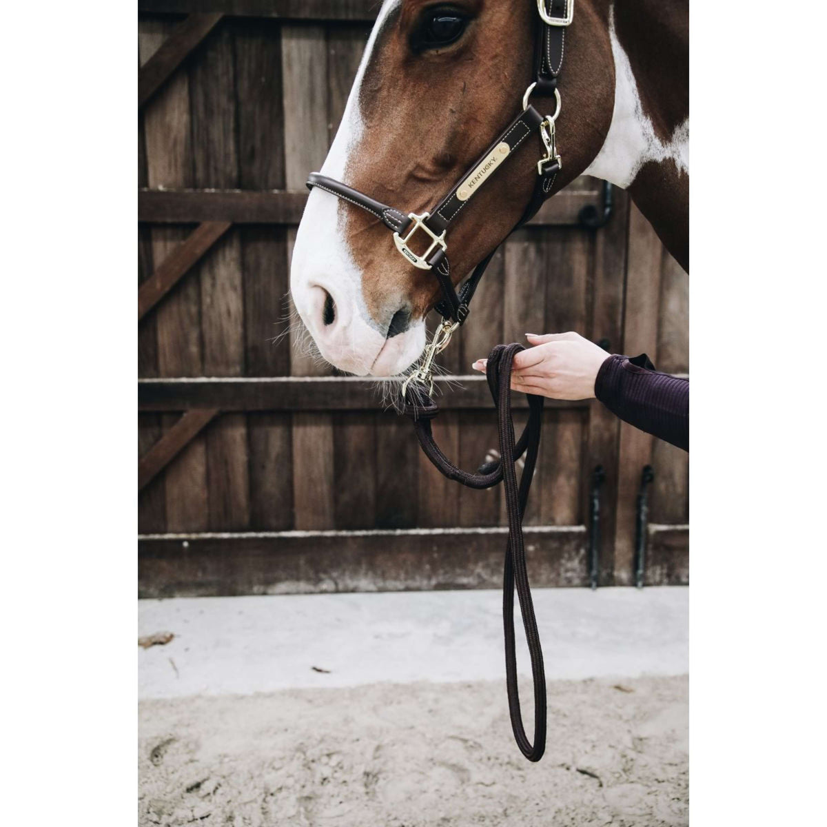 Kentucky Horsewear Corda per cavezza Loop Marrone