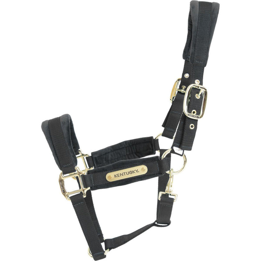 Kentucky Horsewear Capezzina Velvet Nero
