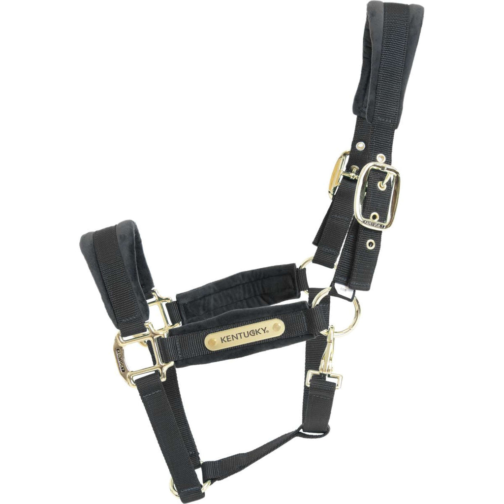 Kentucky Horsewear Cavezza Velvet Nero