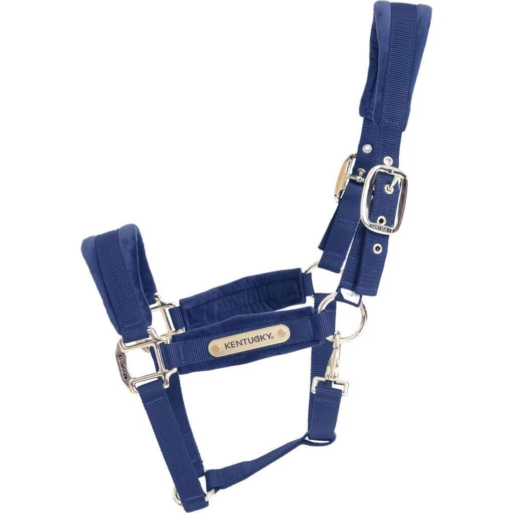 Kentucky Horsewear Cavezza Velvet Navy