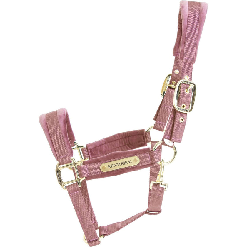Kentucky Horsewear Cavezza Velvet Rosa antico