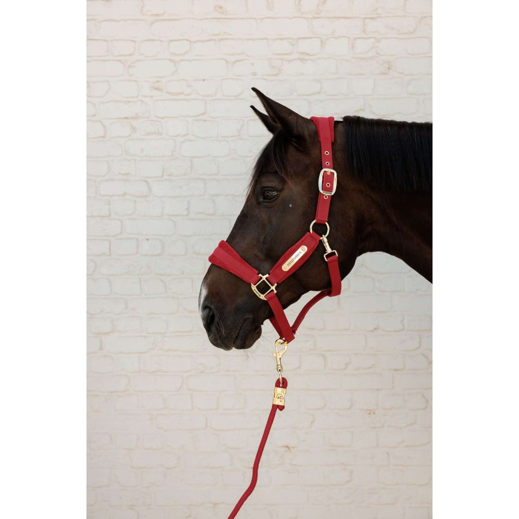 Kentucky Cavezza Velvet Rosso