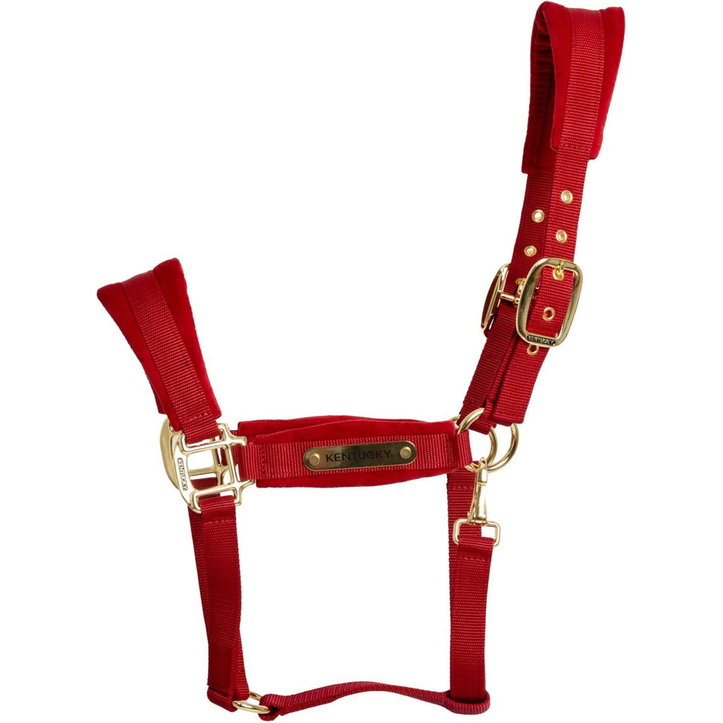 Kentucky Cavezza Velvet Rosso