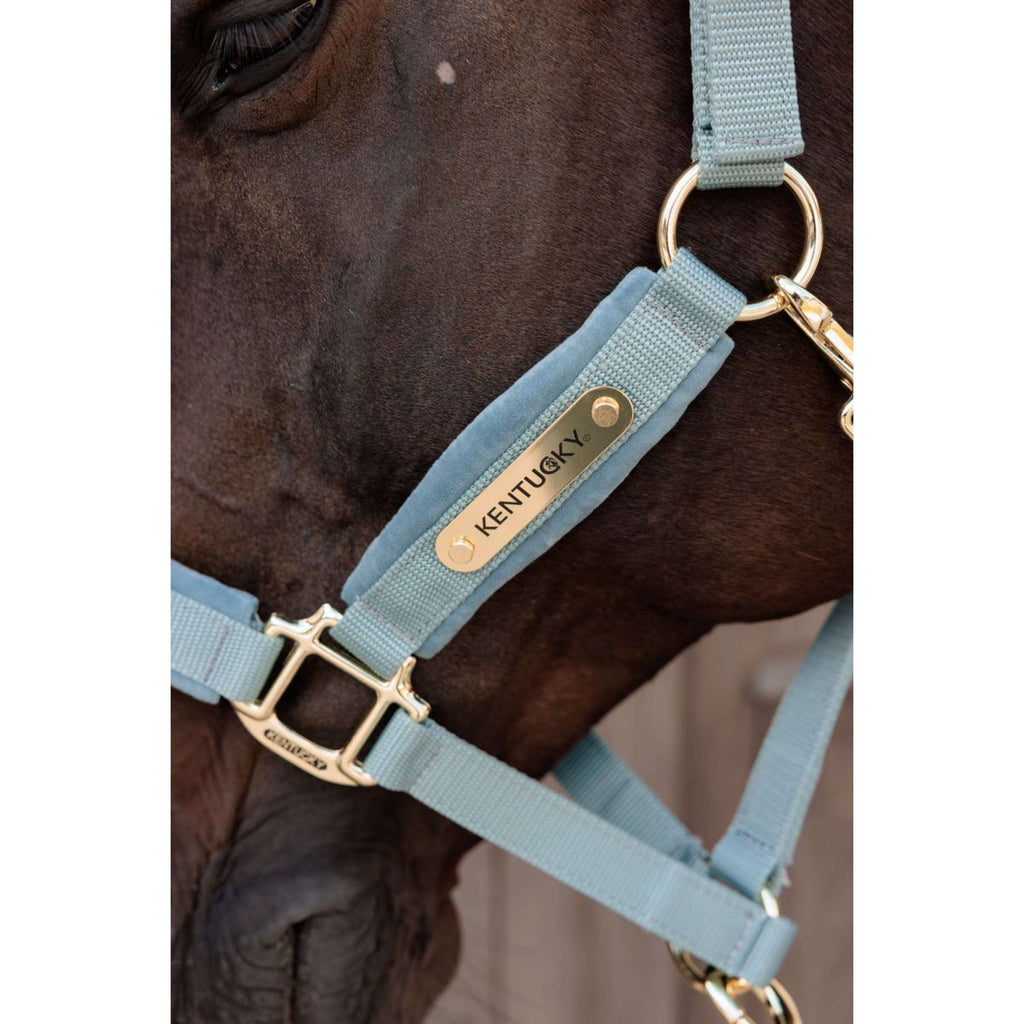 Kentucky Cavezza Velvet Azzurro