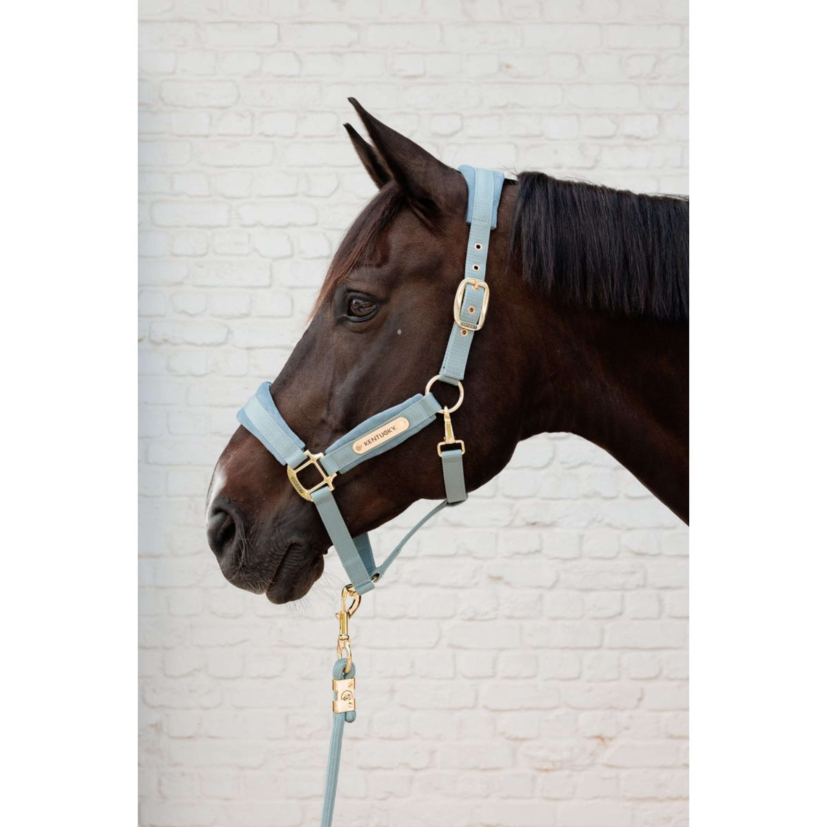 Kentucky Capezzina Velvet Azzurro