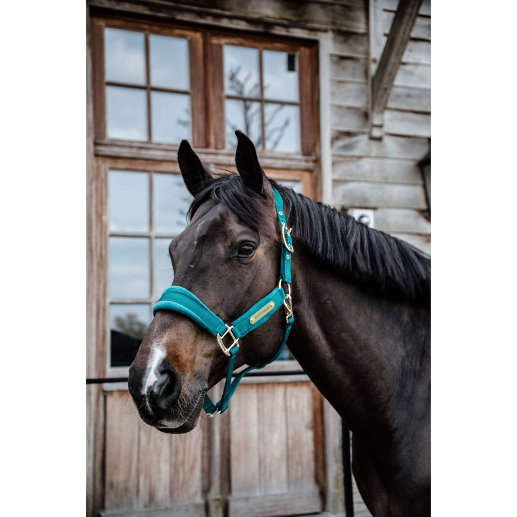 Kentucky Horsewear Cavezza Velvet Smeraldo