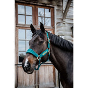 Kentucky Horsewear Capezzina Velvet Smeraldo