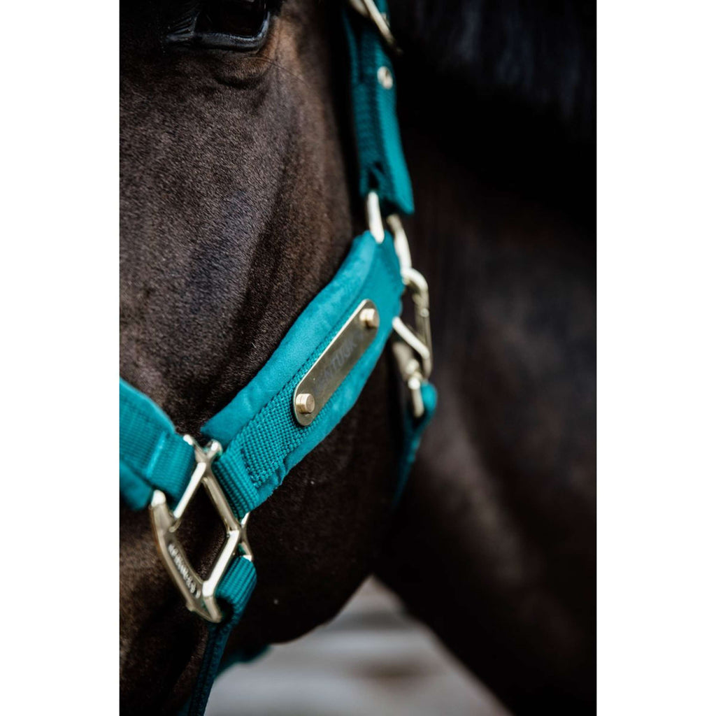 Kentucky Horsewear Cavezza Velvet Smeraldo