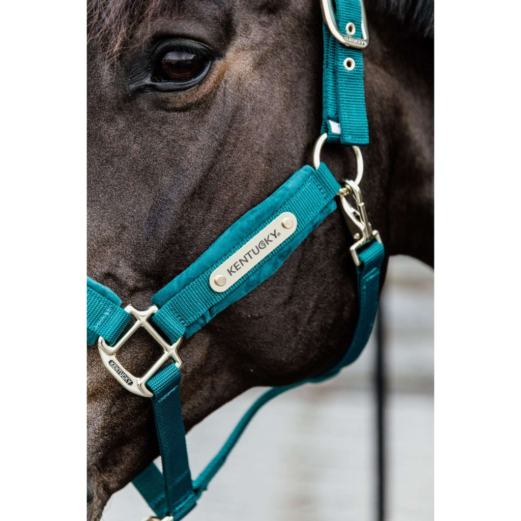 Kentucky Horsewear Cavezza Velvet Smeraldo