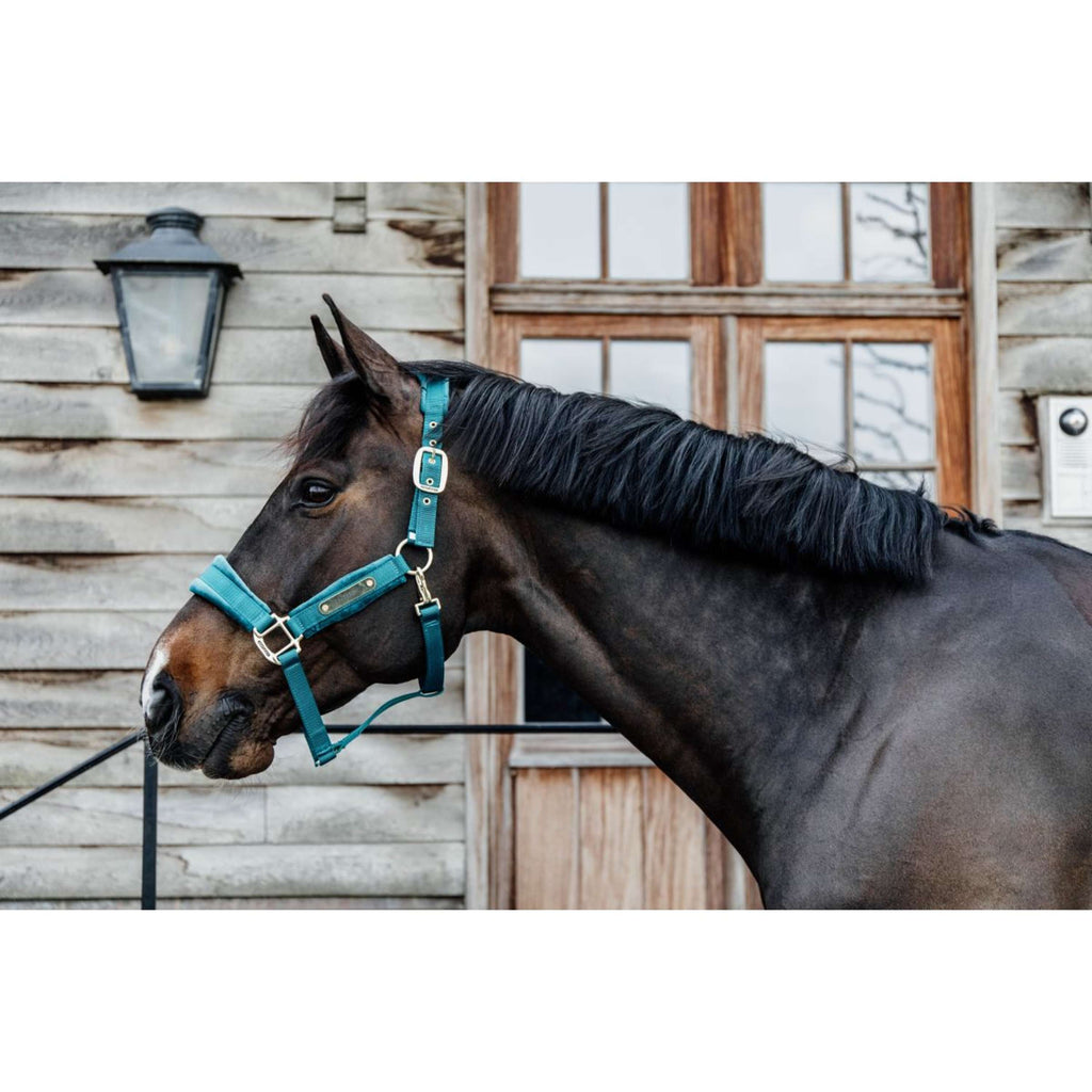 Kentucky Horsewear Cavezza Velvet Smeraldo