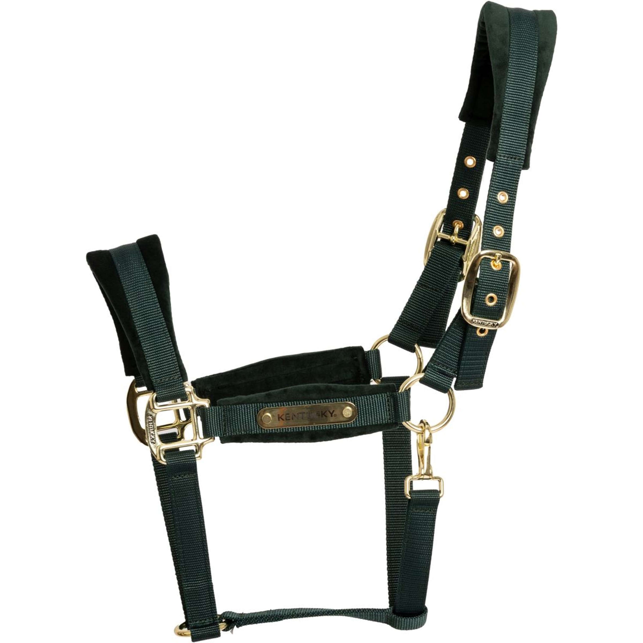 Kentucky Capezzina Velvet Pine Green