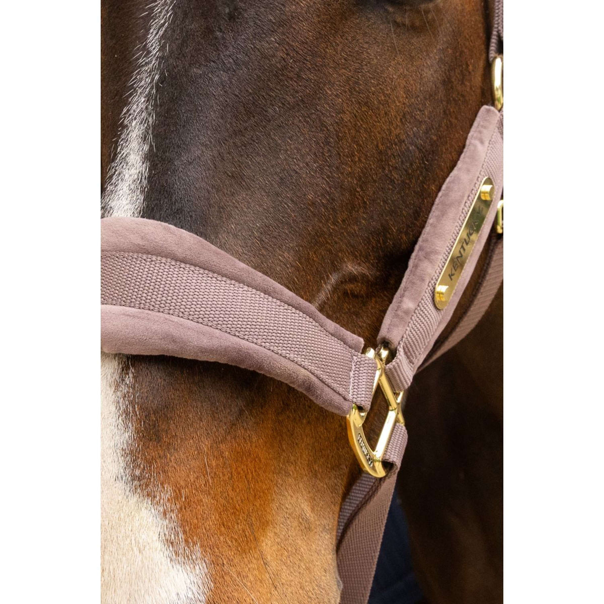 Kentucky Capezzina Velvet Viola chiaro