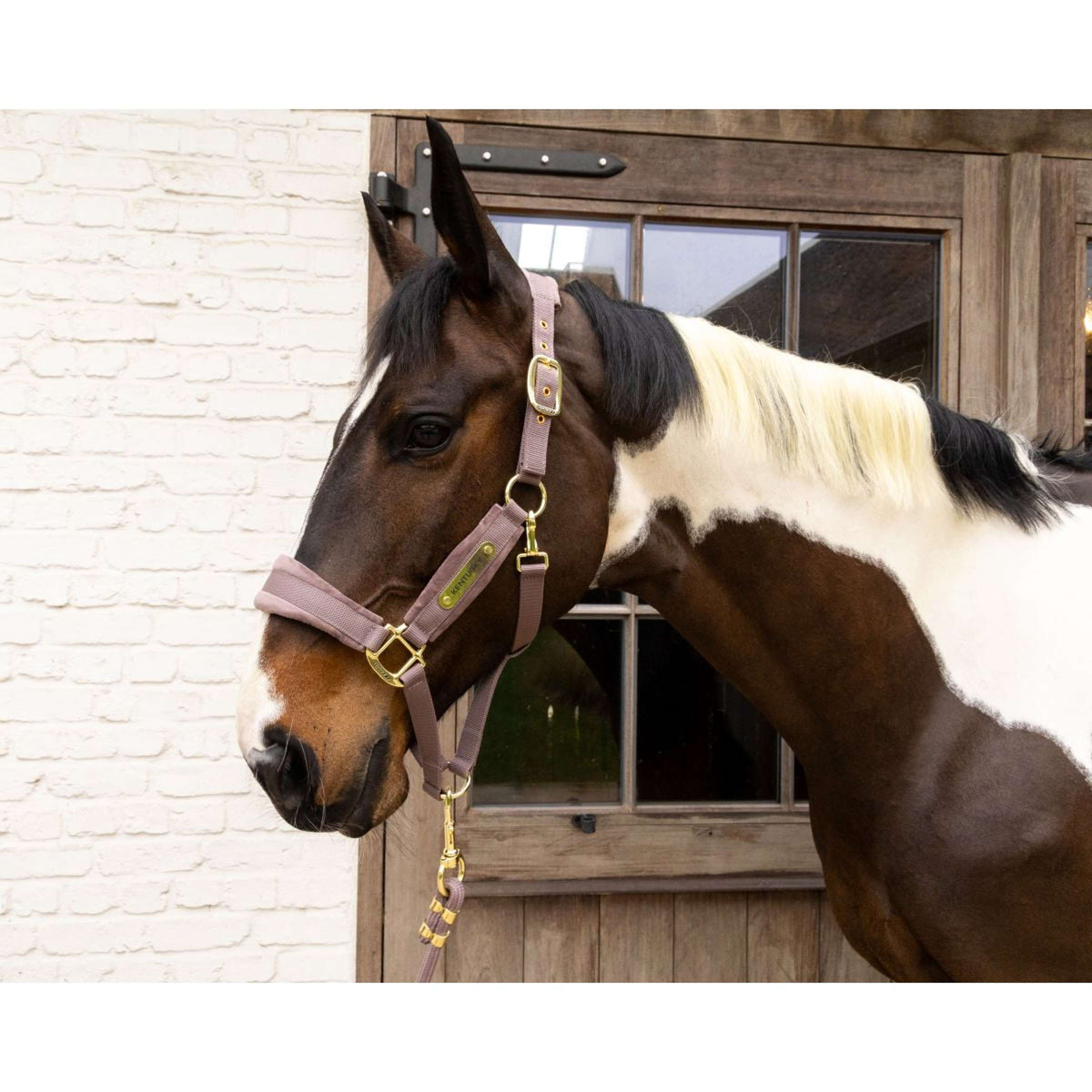 Kentucky Capezzina Velvet Viola chiaro