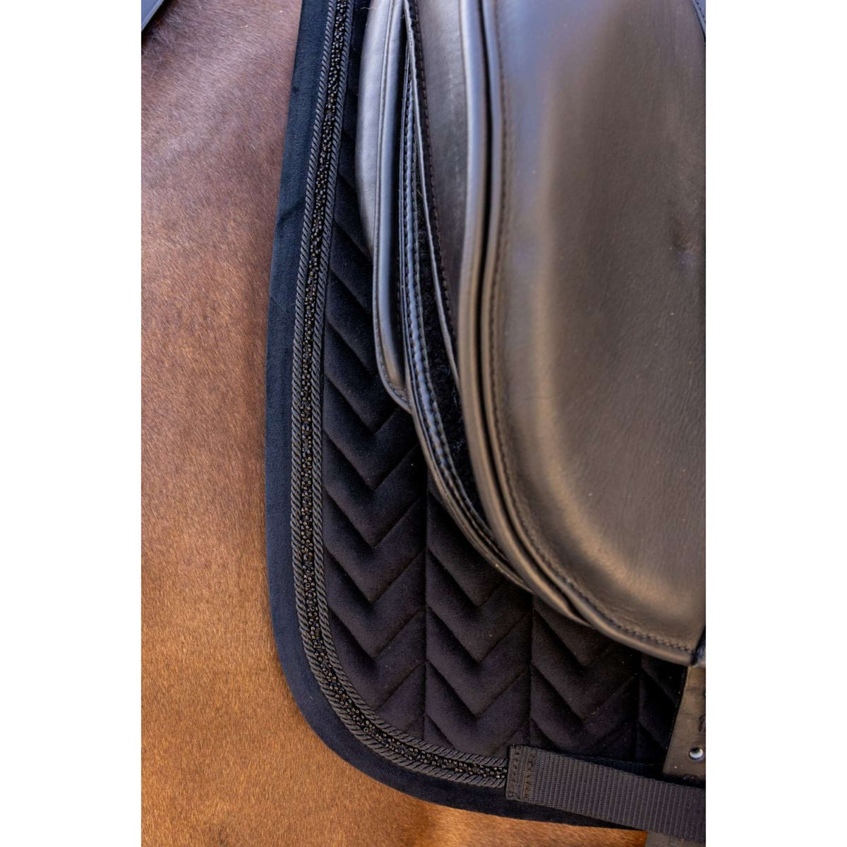 Kentucky Sottosella Velvet Mini Pearls Dressage Nero