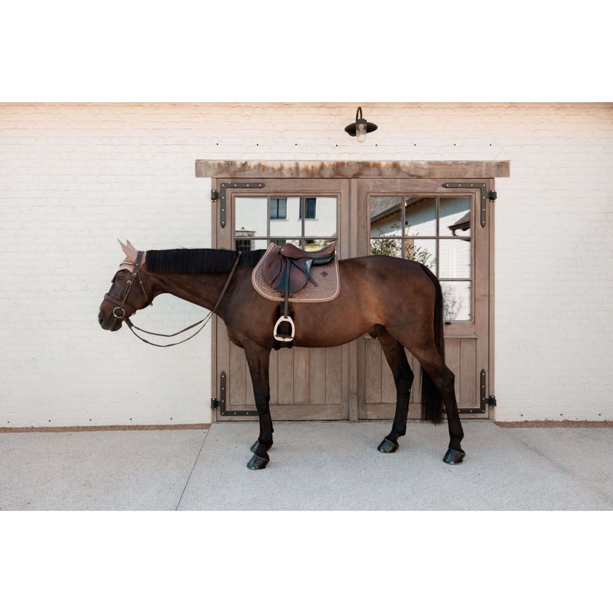 Kentucky Sottosella Velvet saltando Beige