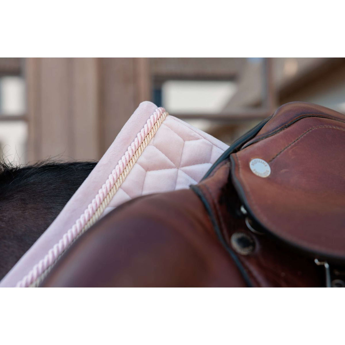 Kentucky Sottosella Velvet saltando Soft Rose