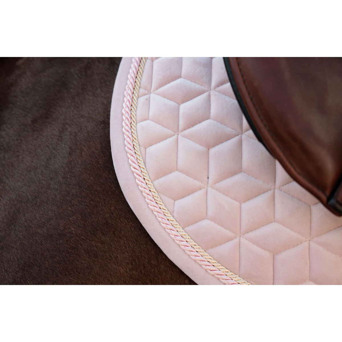 Kentucky Sottosella Velvet saltando Soft Rose