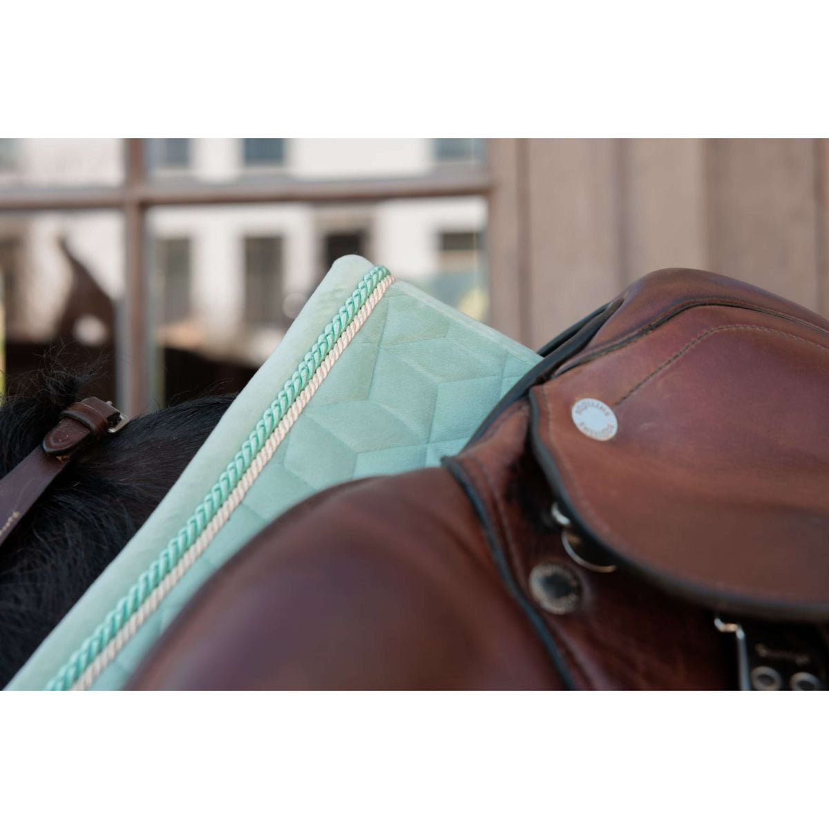 Kentucky Sottosella Velvet saltando Mint