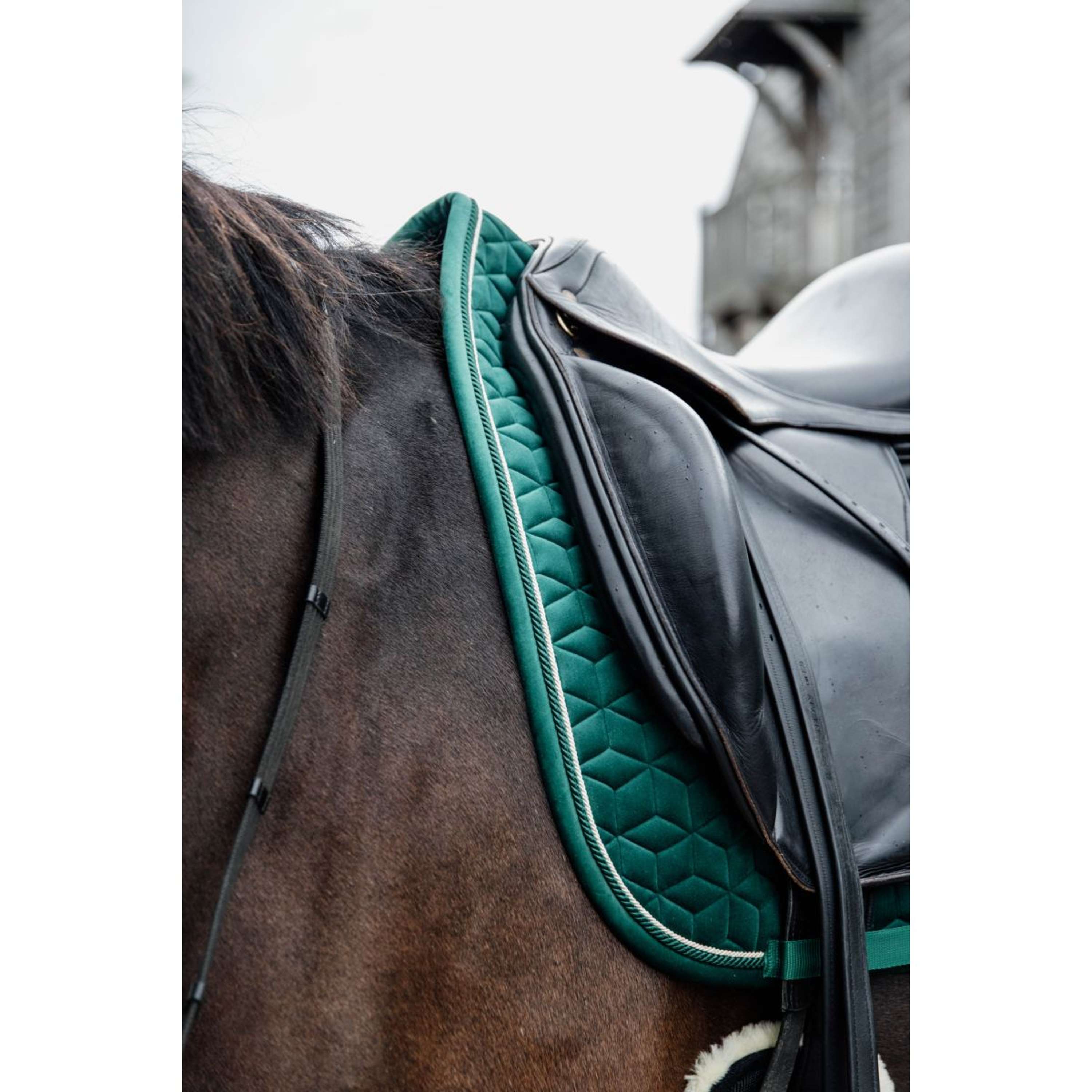 Kentucky Horsewear Sottosella Velvet Verde scuro