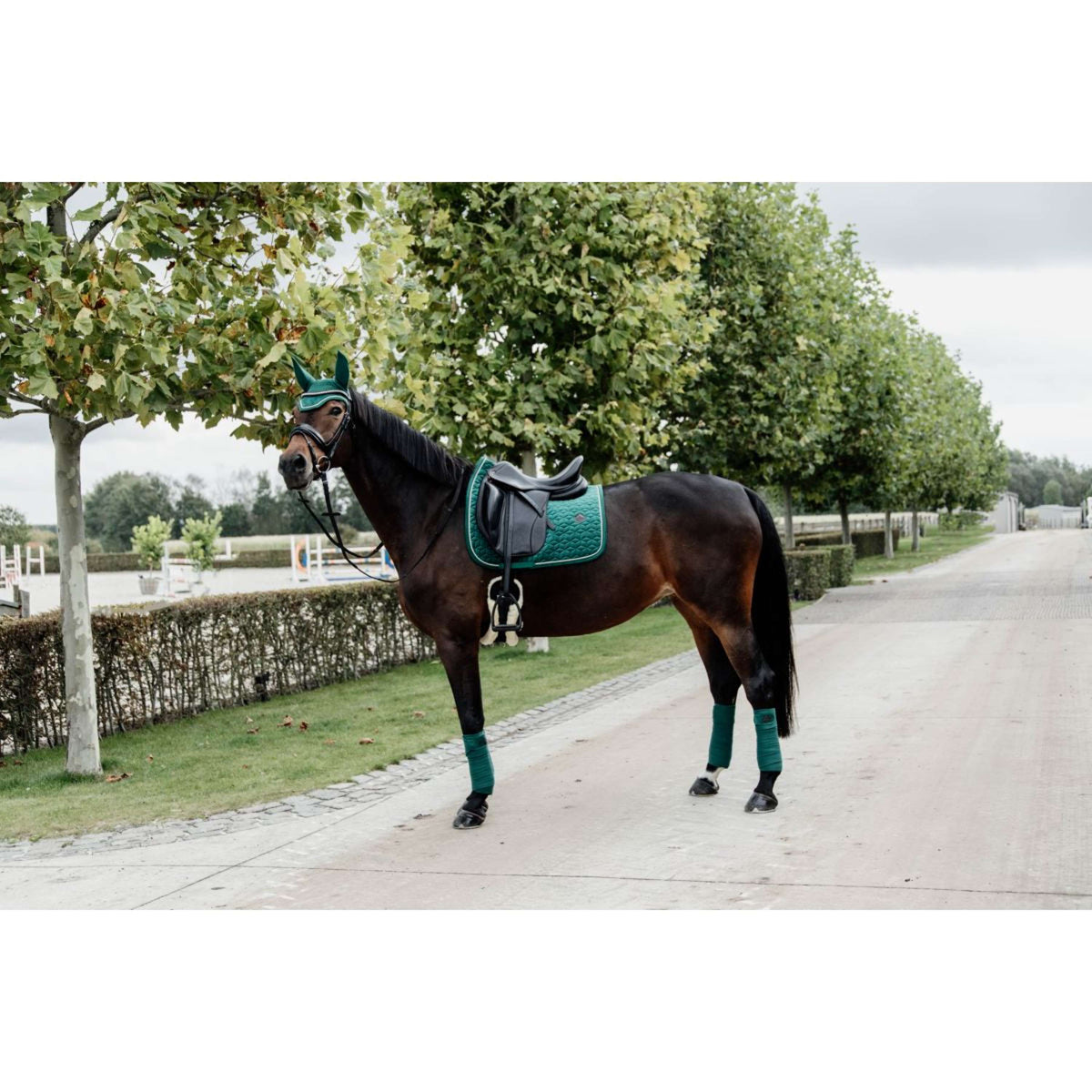 Kentucky Horsewear Sottosella Velvet Verde scuro