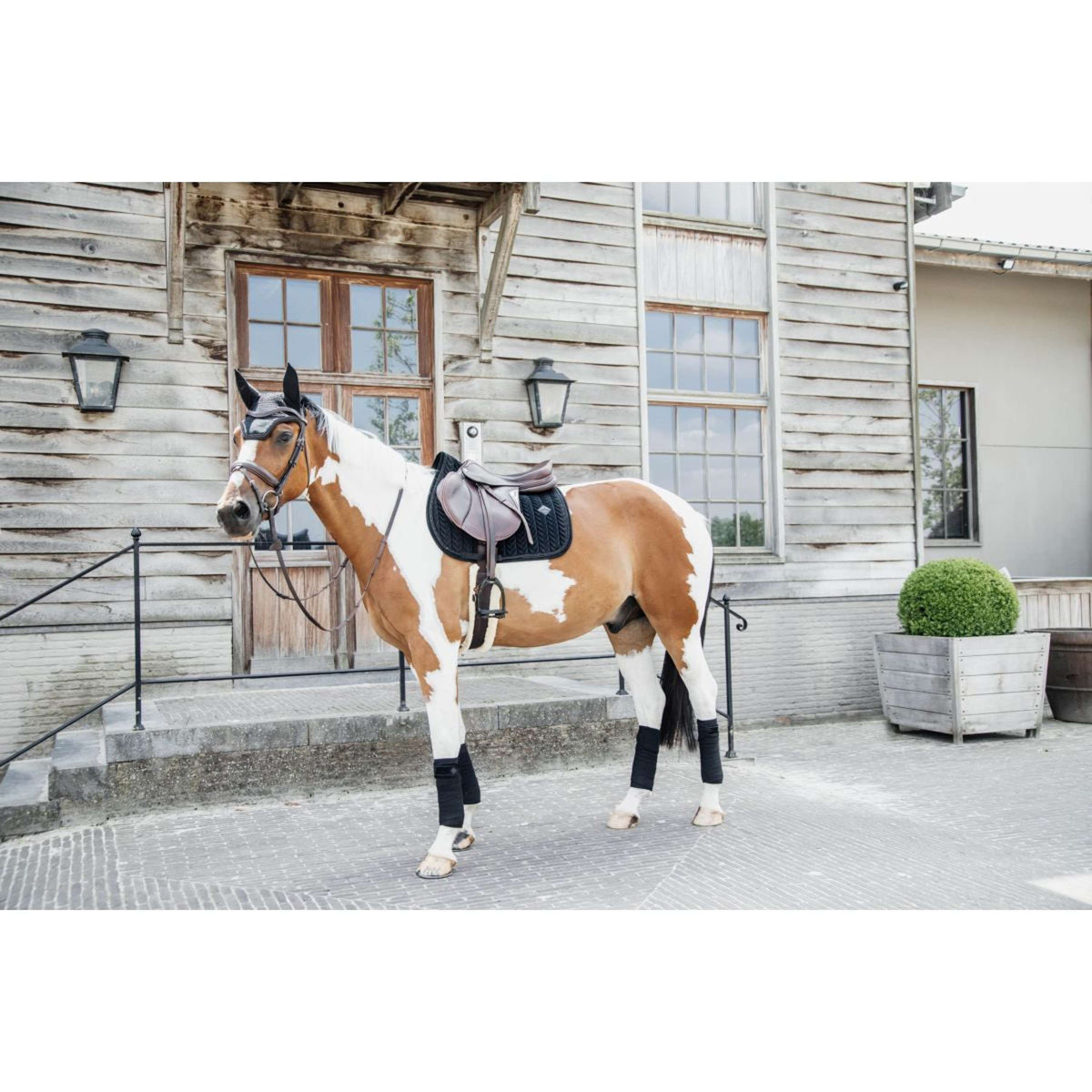 Kentucky Horsewear Sottosella Velvet Pearls Springen Nero