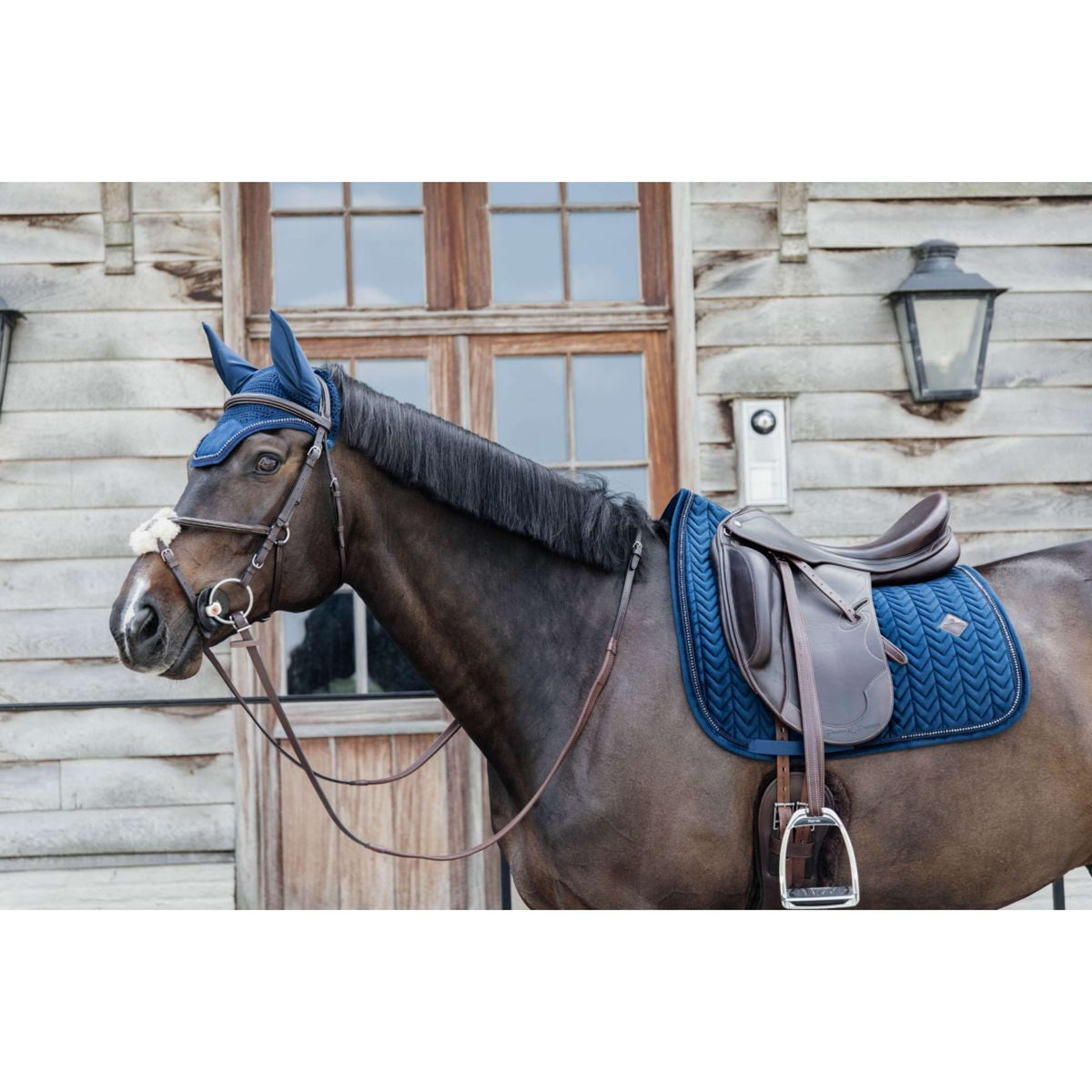 Kentucky Horsewear Sottosella Velvet Pearls Dressage Navy