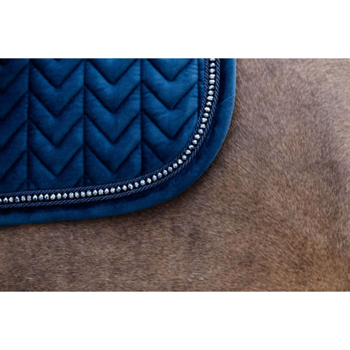 Kentucky Horsewear Sottosella Velvet Pearls Dressage Navy