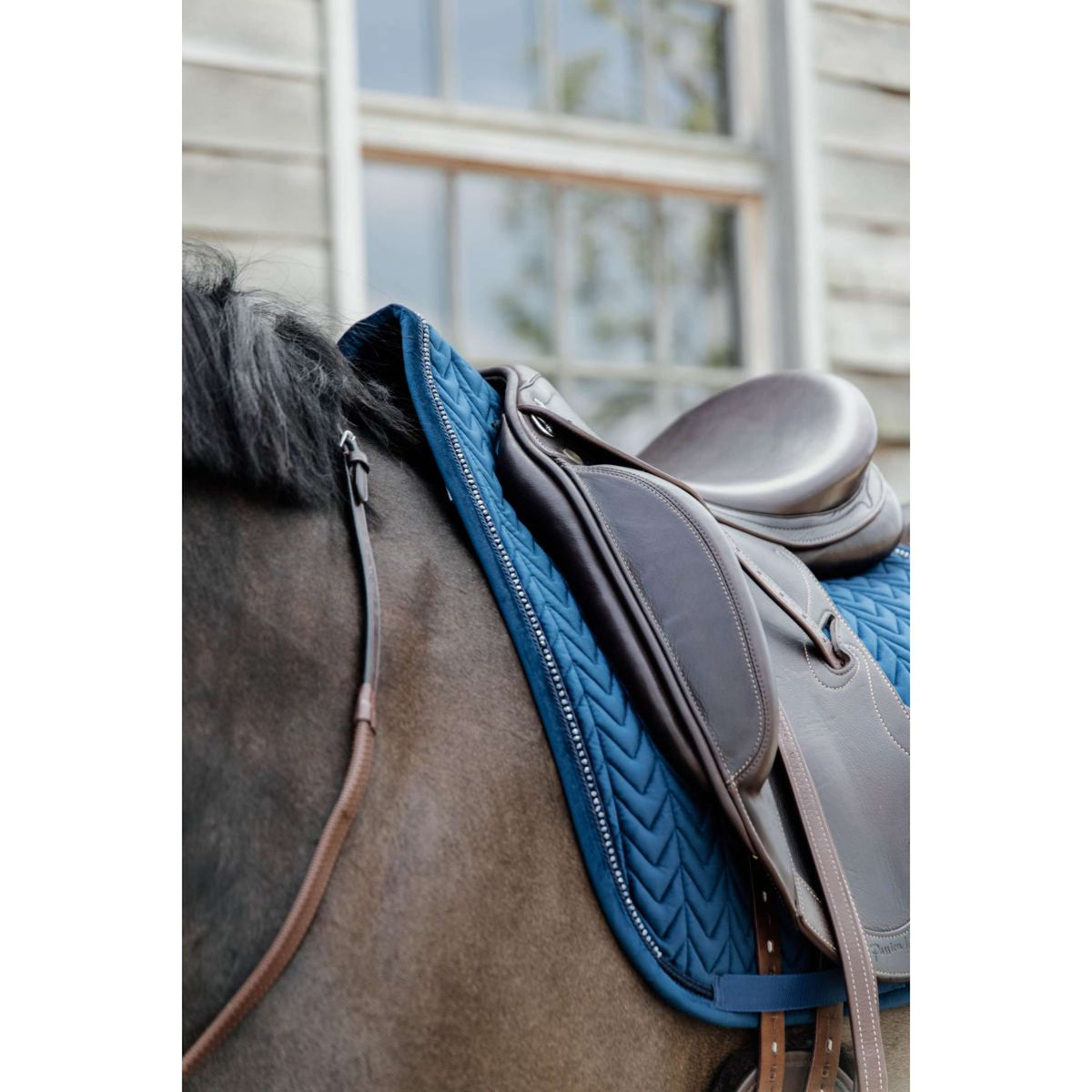 Kentucky Horsewear Sottosella Velvet Pearls Dressage Navy