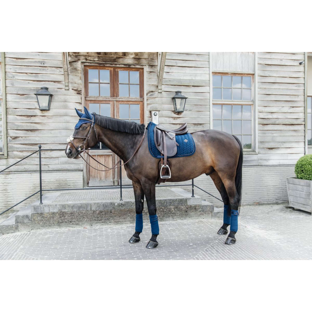 Kentucky Horsewear Sottosella Velvet Pearls Dressage Navy