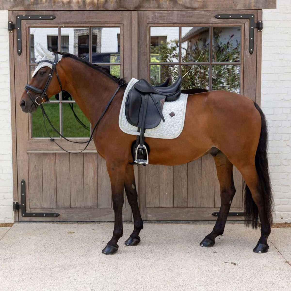 Kentucky Sottosella Velvet Flags Dressage Azzurro