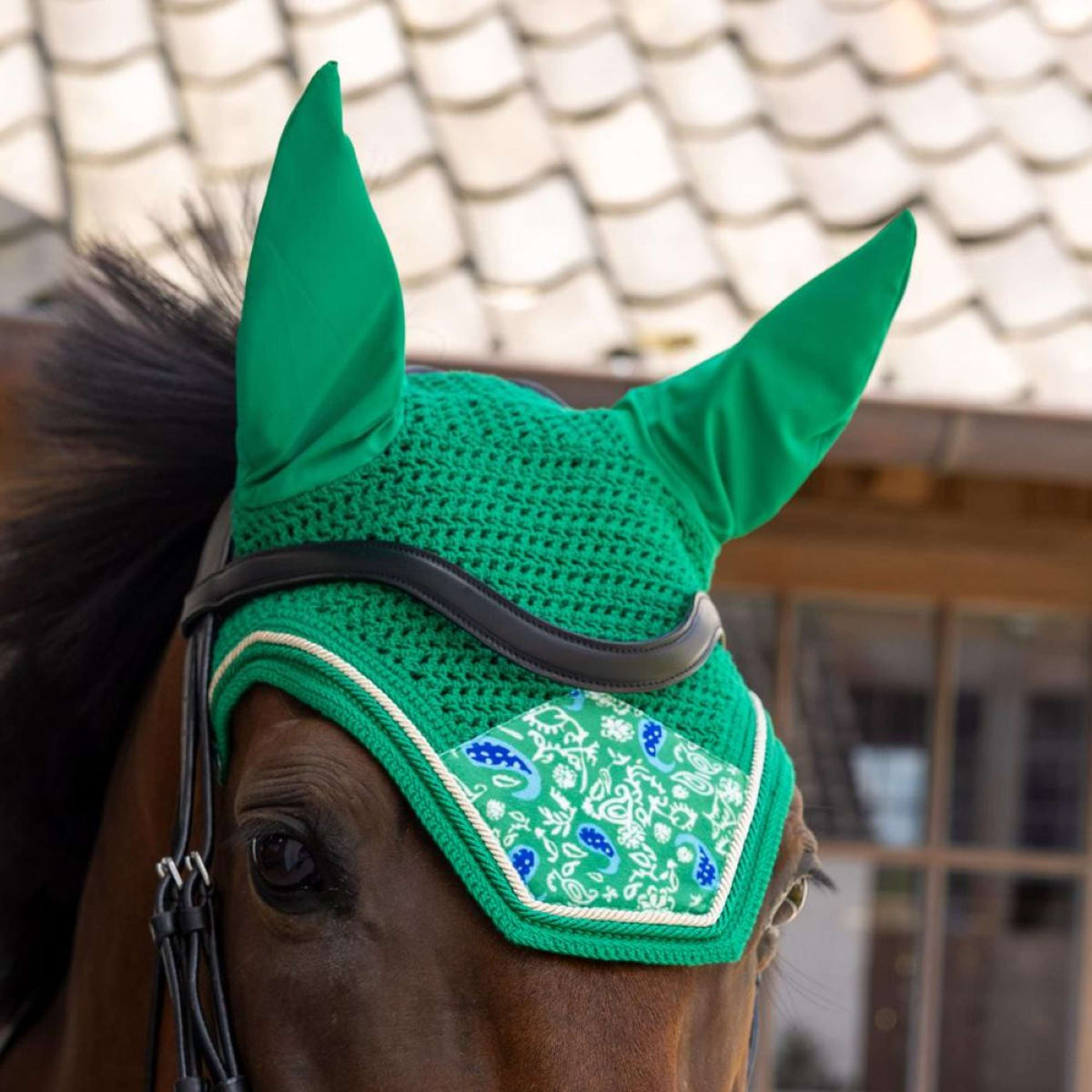 Kentucky Cuffietta Wellington Velvet Paisley Garden Verde/Blu marino